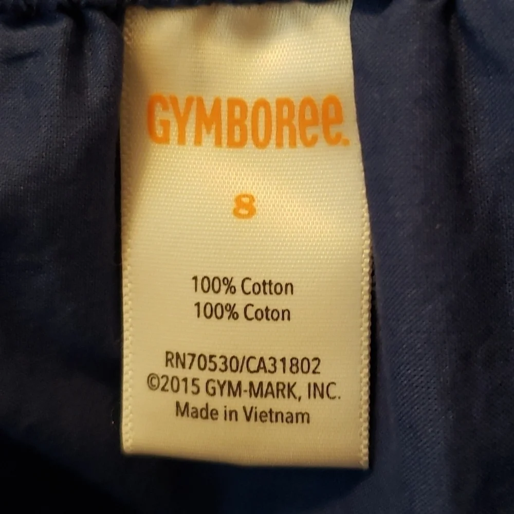 Gymboree Blue Ruffle Skirt Size 8